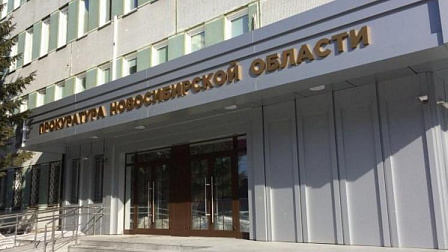 В Новосибирске начали проверку после нападения хаски на шестилетнего мальчика