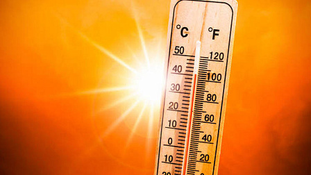 Жителей Новосибирской области экстренно предупредили о приходе аномальной жары