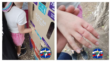 В Новосибирске автомат с кормом для белок зажал пальцы девятилетней девочки