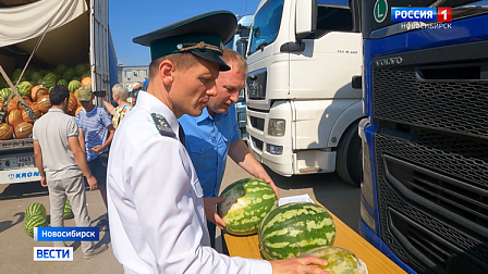 В Новосибирской области Россельхознадзор проверил первые августовские арбузы
