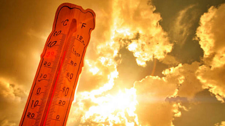 Жара в Новосибирской области побила температурный рекорд 24 июня