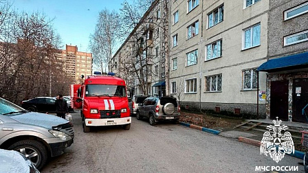 В Новосибирске в горящей квартире погибла женщина