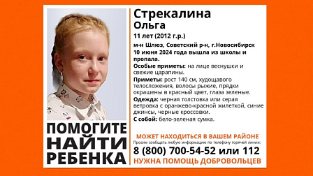 В Новосибирске пропала 11-летняя рыжеволосая девочка с красными прядями