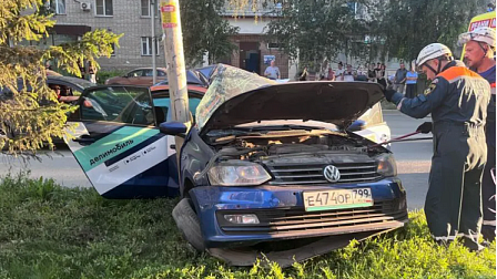 В Бердске каршеринговый автомобиль с тремя мужчинами в салоне влетел в столб