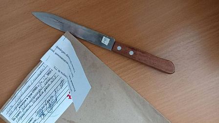 В Новосибирской области 64-летняя пенсионерка вонзила нож в сердце любимого